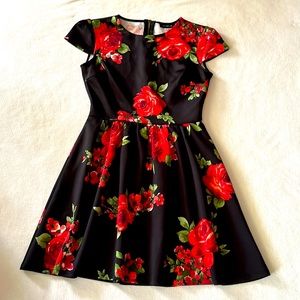 Juniors Spring Floral Dress